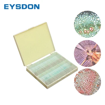 EYSDON 100pcs Biologia Preparado Microscópio Lâminas de Vidro de Amostras de Laboratório para Ciências Biológicas Básicas de Educação, Com Caixa Plástica